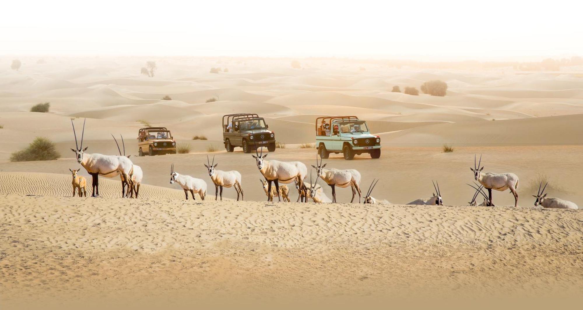 Al Marmoom Oasis Luxury Experiential Desert Resort Dubai Esterno foto